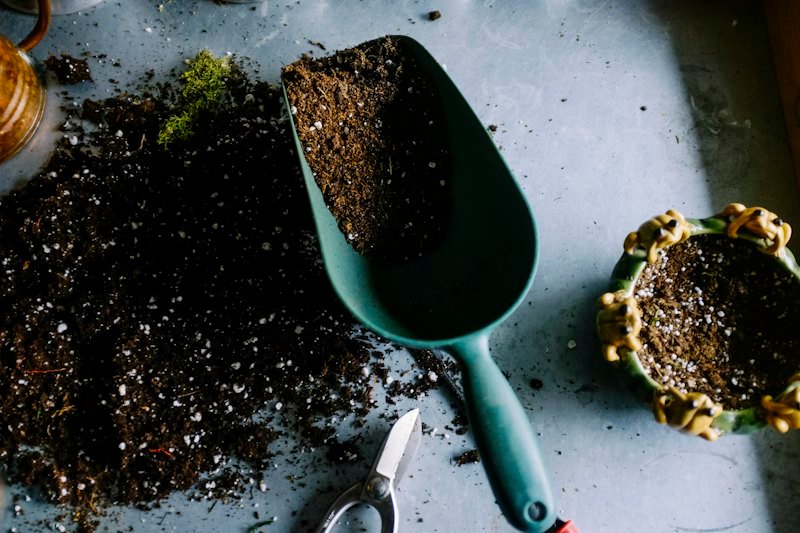 Soil and a garden scoop on a work surface